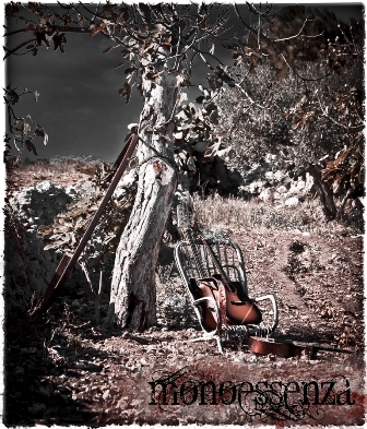 Mostra il profilo di Monoessenza